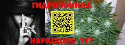 гидра Гусев