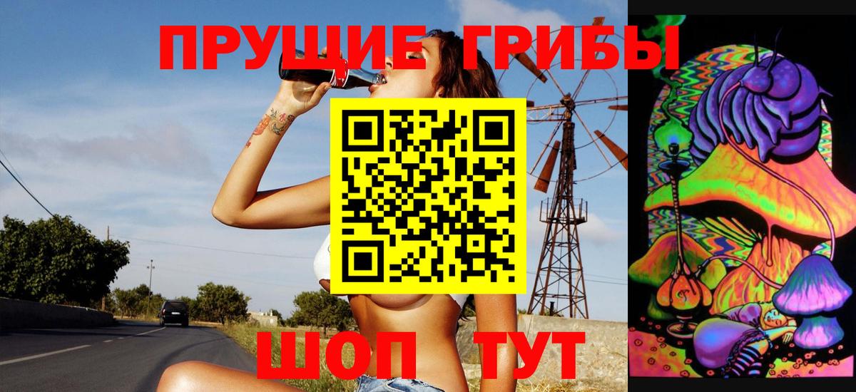 Псилоцибиновые грибы мухоморы Мариинск